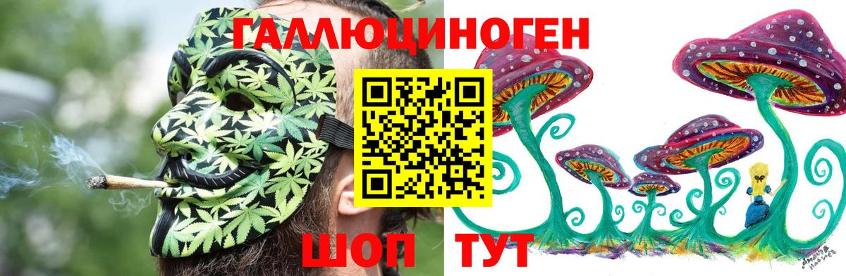 Галлюциногенные грибы Cubensis  Вход с VPN  Арсеньев 